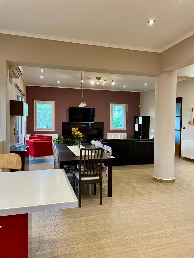 Apollon Paian , Luxury Nature Relax Lefkáda Kültér fotó
